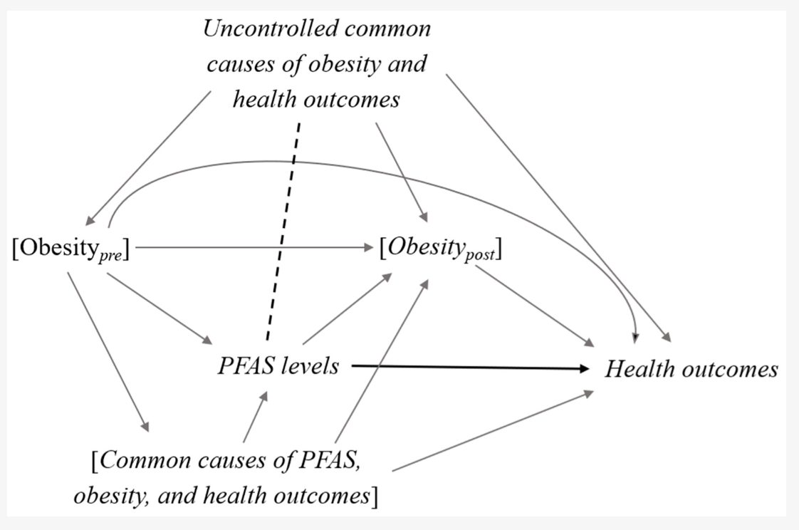 PFAS effect